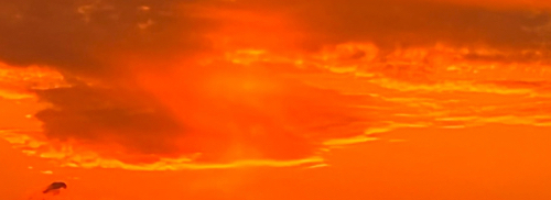 送迎バスの管理に最適