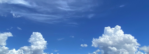 レポート自動作成で作業効率が向上